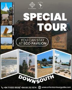 downsouth tours