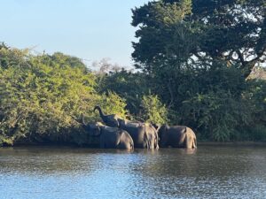 Wildlife and Beach Tour Itinerary Sri Lanka for UK Travellers
